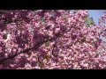 Die Universitätsstadt Marburg an der Lahn: http://t.co/8BIFty6e via @youtube