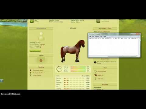 how to bid on howrse