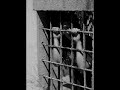 ali ekber eren - gök görünmez duvardan (gözyaşı duvar delmez