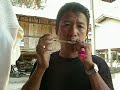 Performance of Akha Jew\
