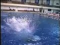 Carlton's 3 Meter Best Dives