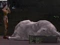 信長の野望 Online