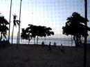 Brazillian Volleyball 2
