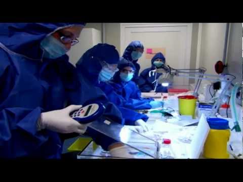 YouTube Preview Image