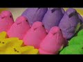 Peeps Jousting Peeps Jousting