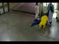 Dumb Chick Gets Crushed By Gate Dumb Chick Gets Crushed By Gate