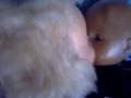 love fofos