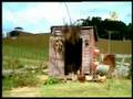 Toyota Commercial: Bugga
