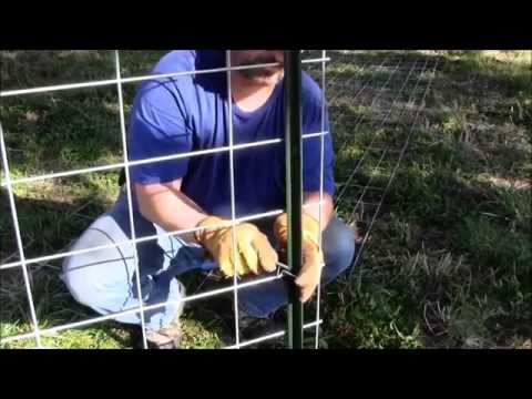 how to attach fence clips to t post