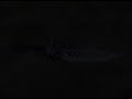 How To...Shadow Play