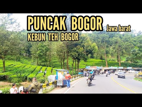 Jalan Raya Puncak Bogor - Dari Cipanas Sampai Gunung Mas