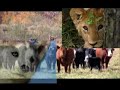 The Six Minute Photo-Drama of Creation The Six Minute Photo-Drama of Creation