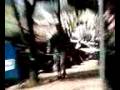 videos de Caught