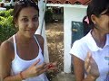 Vídeo da 1ª Feijoda Canalhidae part 001