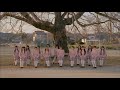 桜の木になろう