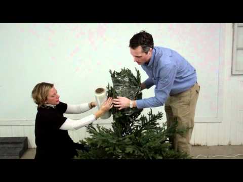 how to store a christmas tree