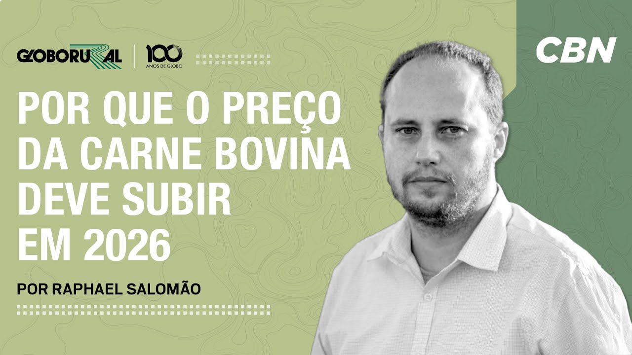 Por que o preço da carne bovina deve subir em 2026?