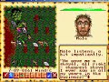 ultima-6-el-profeta-falso.html