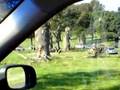 Longleat (vid.02)