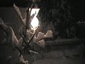 Im tiefen Schneegestöber mit dem Auto durch die Nacht ...