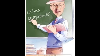 ¿Cómo aprende el cerebro?