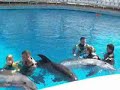 delphin therapy austic child thomas and melanie delphin therapy austic child thomas and melanie