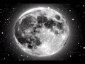 Steven Curtis Chapman - Yours