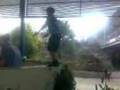 ryan's backflip (mso)