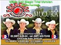 LA MUCURA - los G�ere�os de Sinaloa