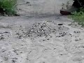 Kicking in the sand Kicking in the sand