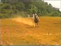Mela Naiza Bazi part 3