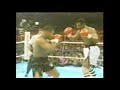 mike tyson roy jones jr shane mosley yuriorkis gamboa