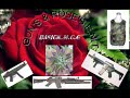 mr rs7000 producer/ MIKE.L.ROSE A.K.A DJ MOBSTREALLY