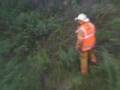 Two-Injured-In-Wolf-
