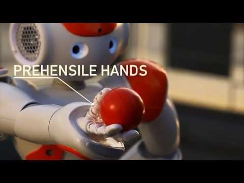 Nao robot humanoide