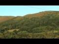 Stretton Climate Care