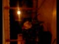 videos de zorro