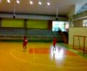 udem vs udea