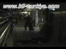 pregnancy-detector-for-dogs-breeding-your-dog.html