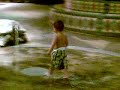 Water mountain with tuttle