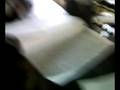 videos de Last Days in SBA - HAVING FUN