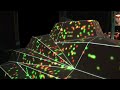 Polygon-playground