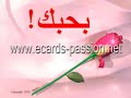 يوتيوب اغنية قرب كمان لتامر حسنى
