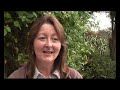 Hamish On Parallel Community DVD Trailer