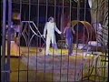 Lady does not realize she almost got attacked by a tiger!