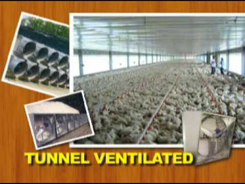 Broiler Housing