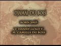 djamai du bois