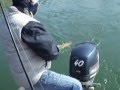 Guarda video