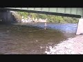 Salmon River NY 9-13-08 Salmon River NY 9-13-08