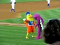 Enlace a La mejor pelea de mascotas del mundo entero